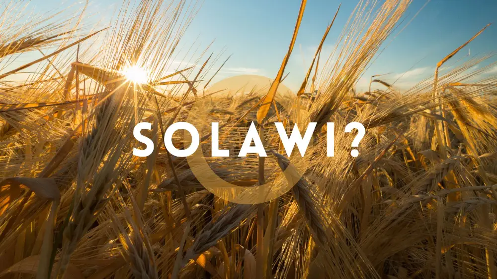 Solawi